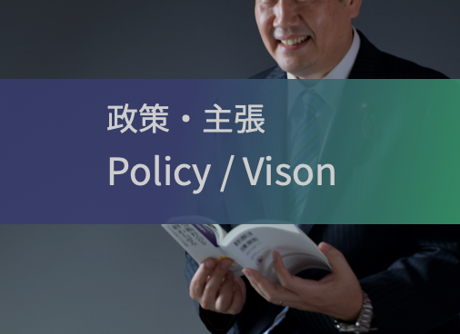 政策